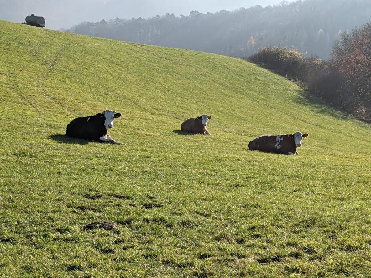 Ferienwohnungen Am Aeppelsberg Volkesfeld エクステリア 写真